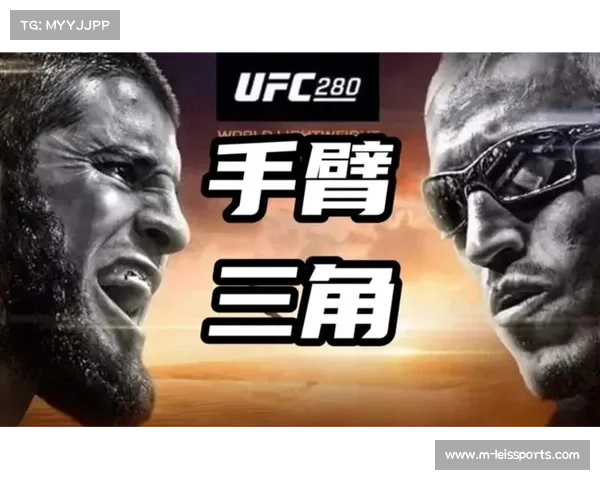 解析UFC规则演变:从“无限制”到30条以上禁忌的体育化之路